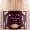 Canti Pinot Grigio Friuli