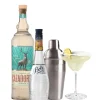 Cocktailpakket Margarita