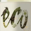 Eco Sauvignon Blanc Organic