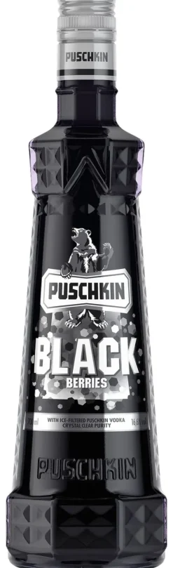 Puschkin Black Sun